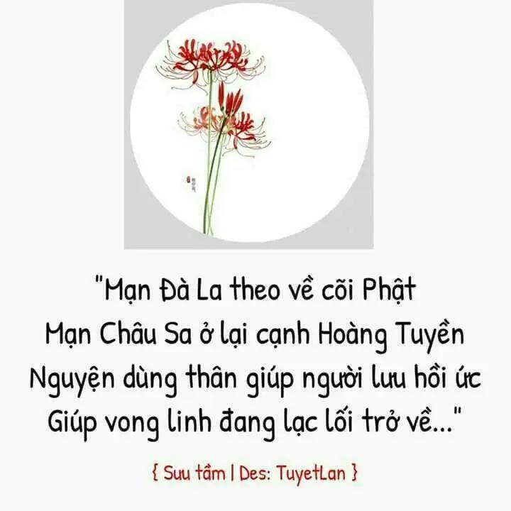 Chương 19 - Trang 28