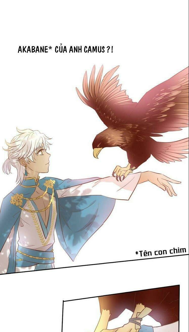 Chương 20 - Trang 1