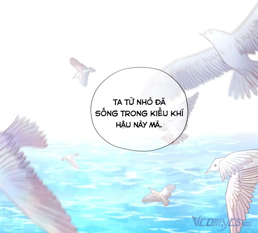 Chương 98 - Trang 36