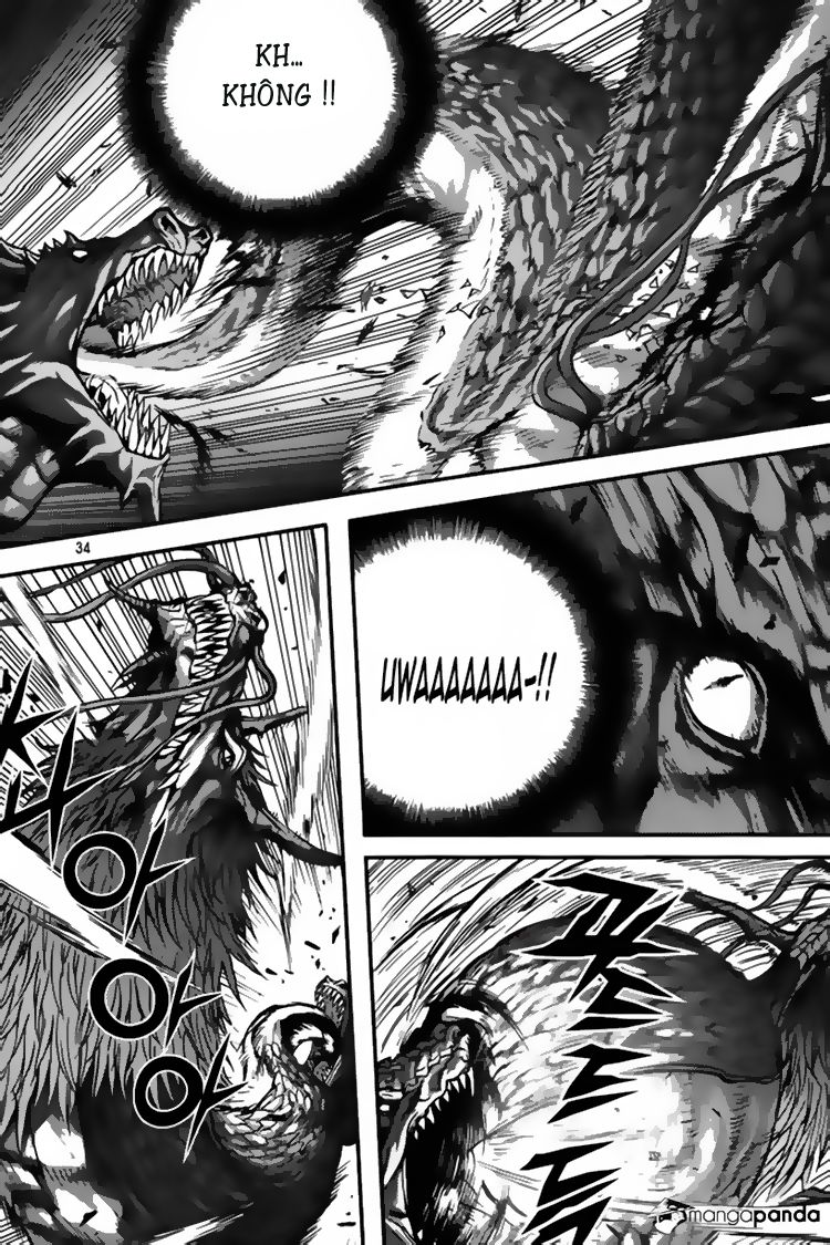 Chapter 294 - Trang 14
