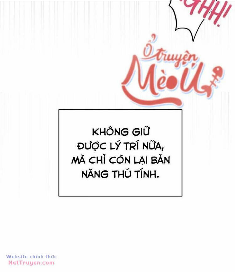 Chương 41 - Trang 14