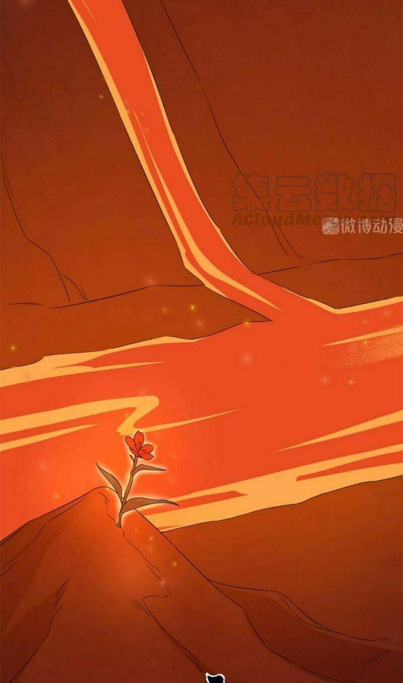 Chương 284 - Trang 3