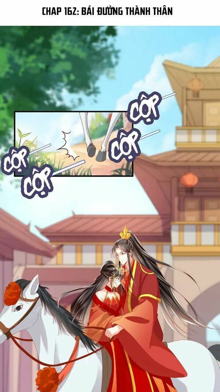 Chương 162 - Trang 1