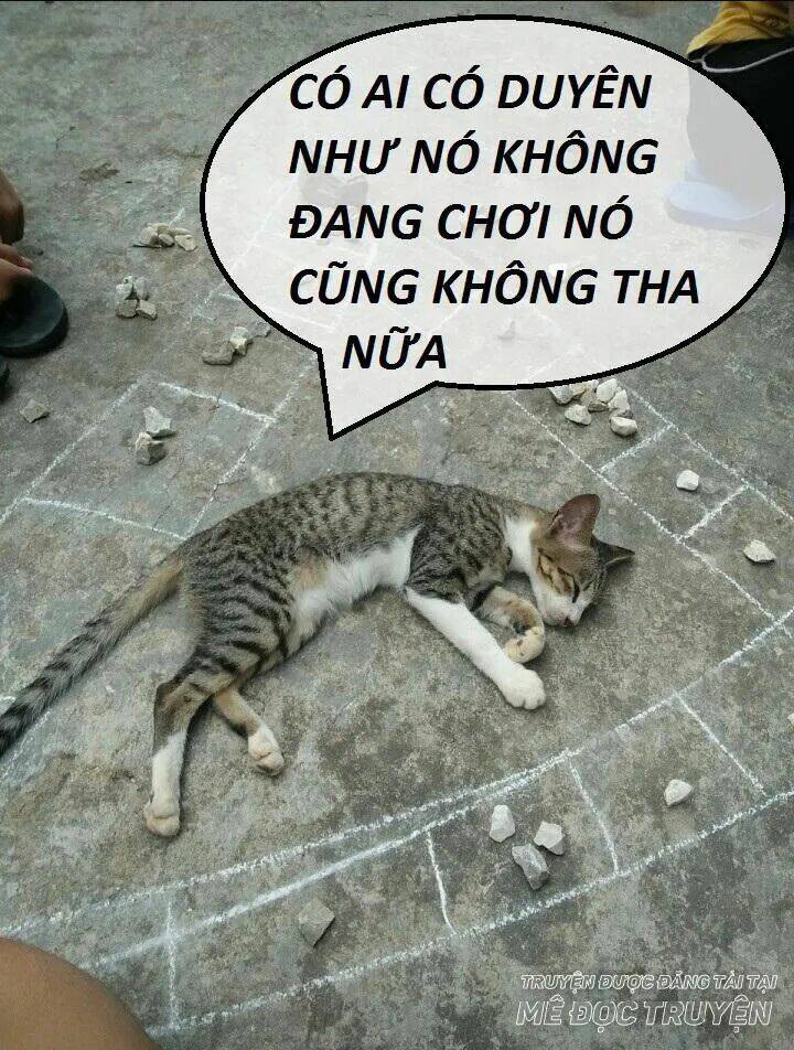Chương 44 - Trang 31