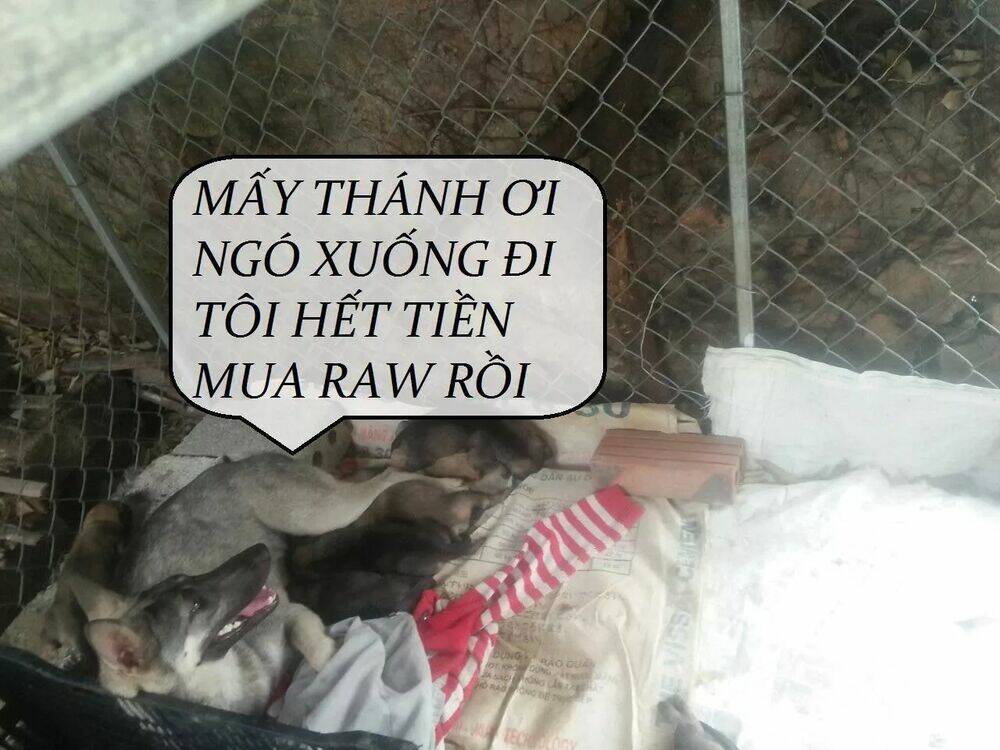 Chương 68 - Trang 53