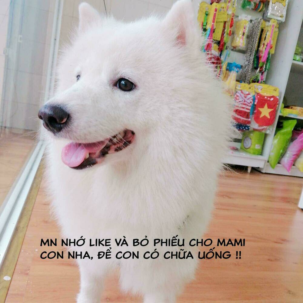 Chương 15 - Trang 37