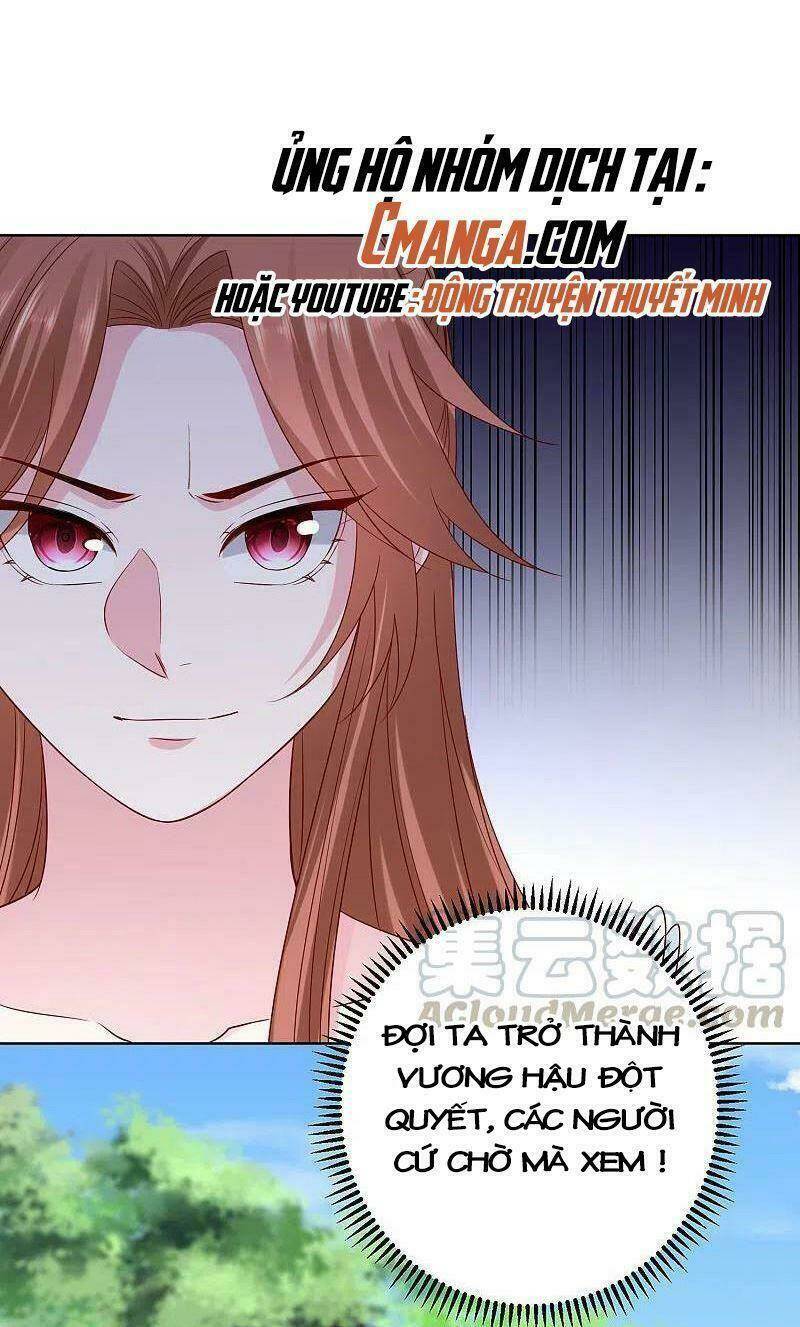 Chương 206 - Trang 17