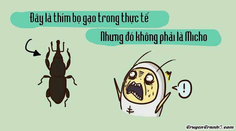 Chương 1 - Trang 2