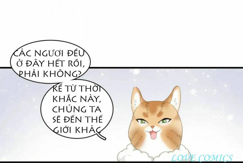 Chương 1 - Trang 22