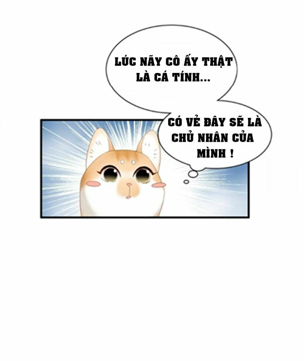 Chương 4 - Trang 6