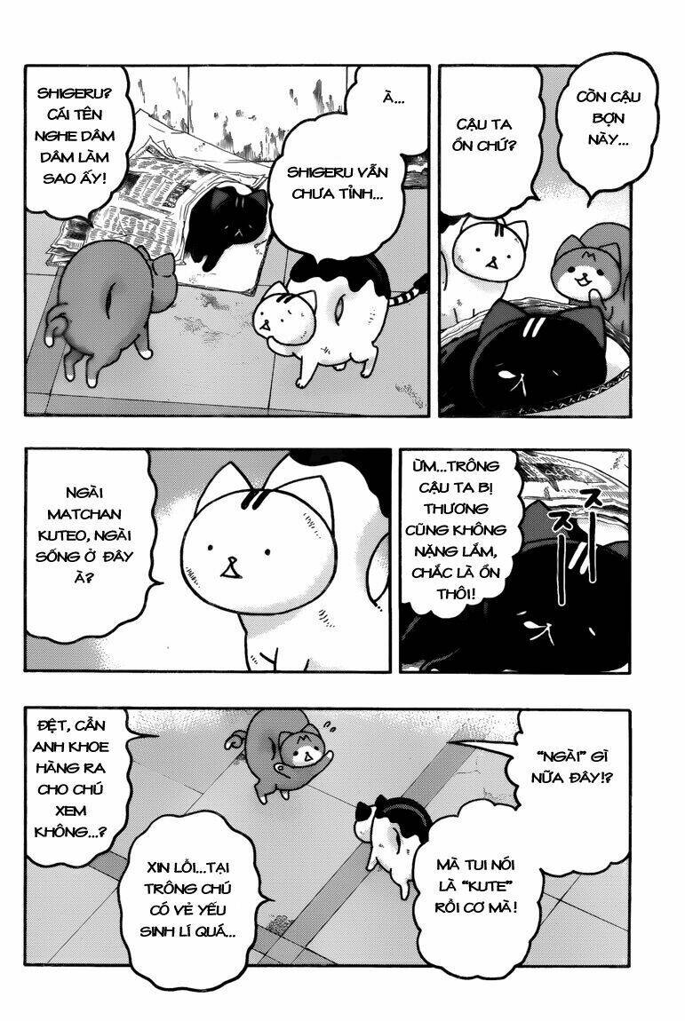 Trang 5
