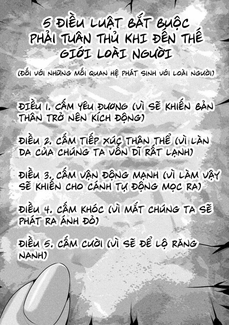 Chương 1 - Trang 17