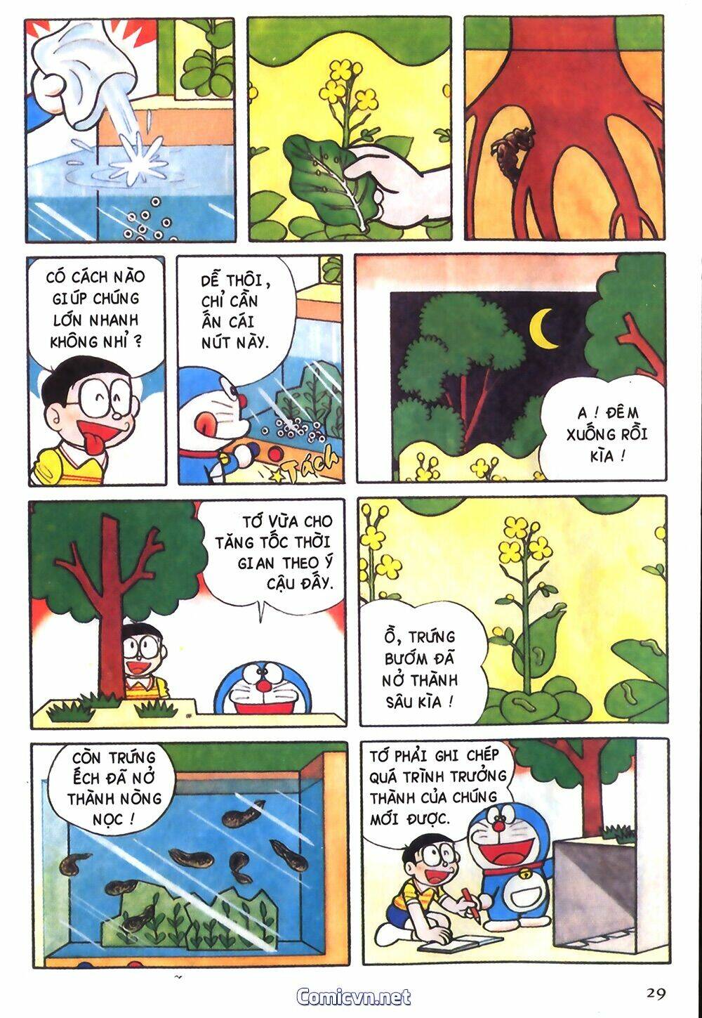 Trang 4