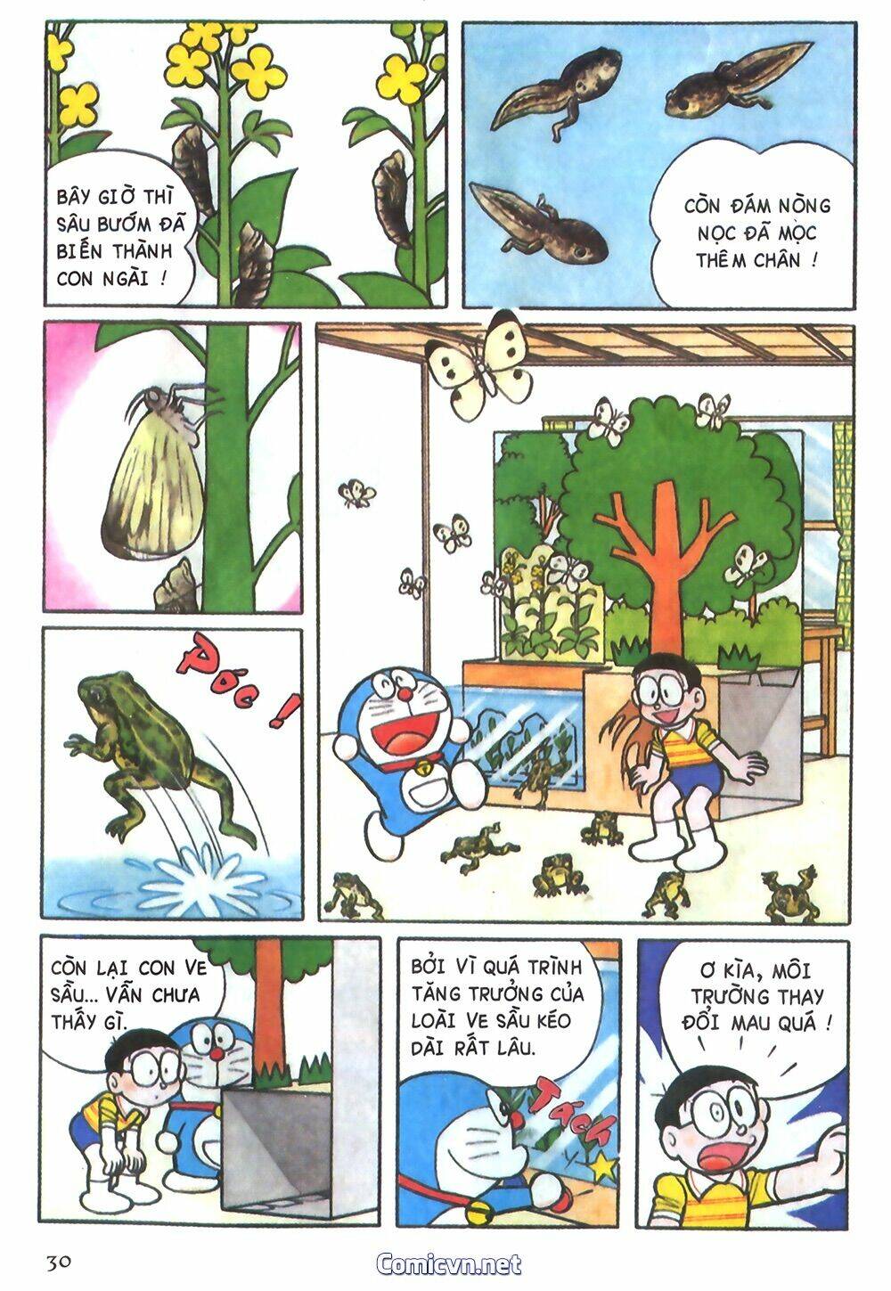 Trang 5