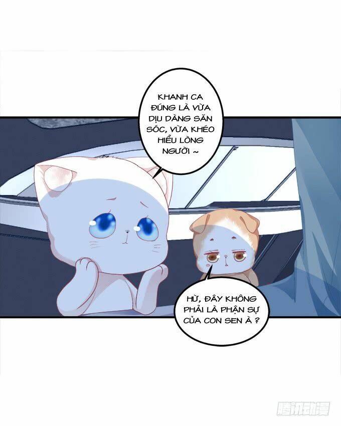 Chương 154 - Trang 18