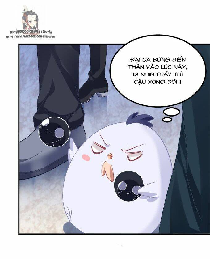 Chương 206 - Trang 4