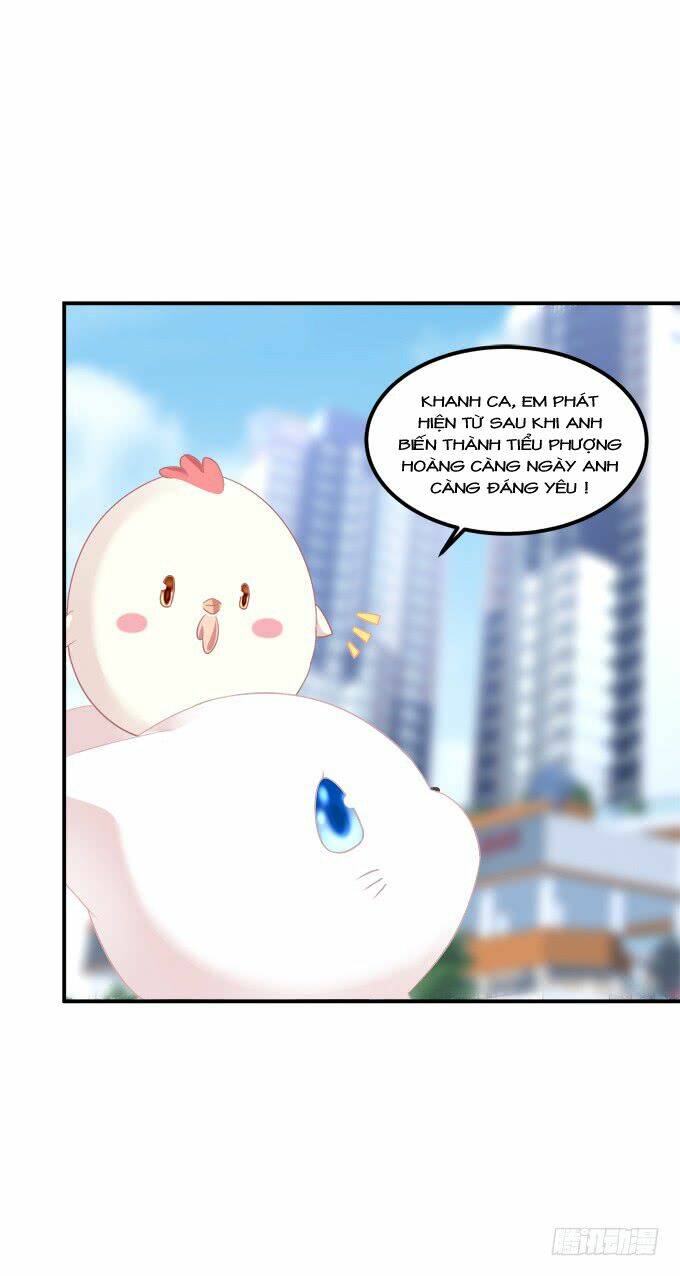 Chương 208 - Trang 34