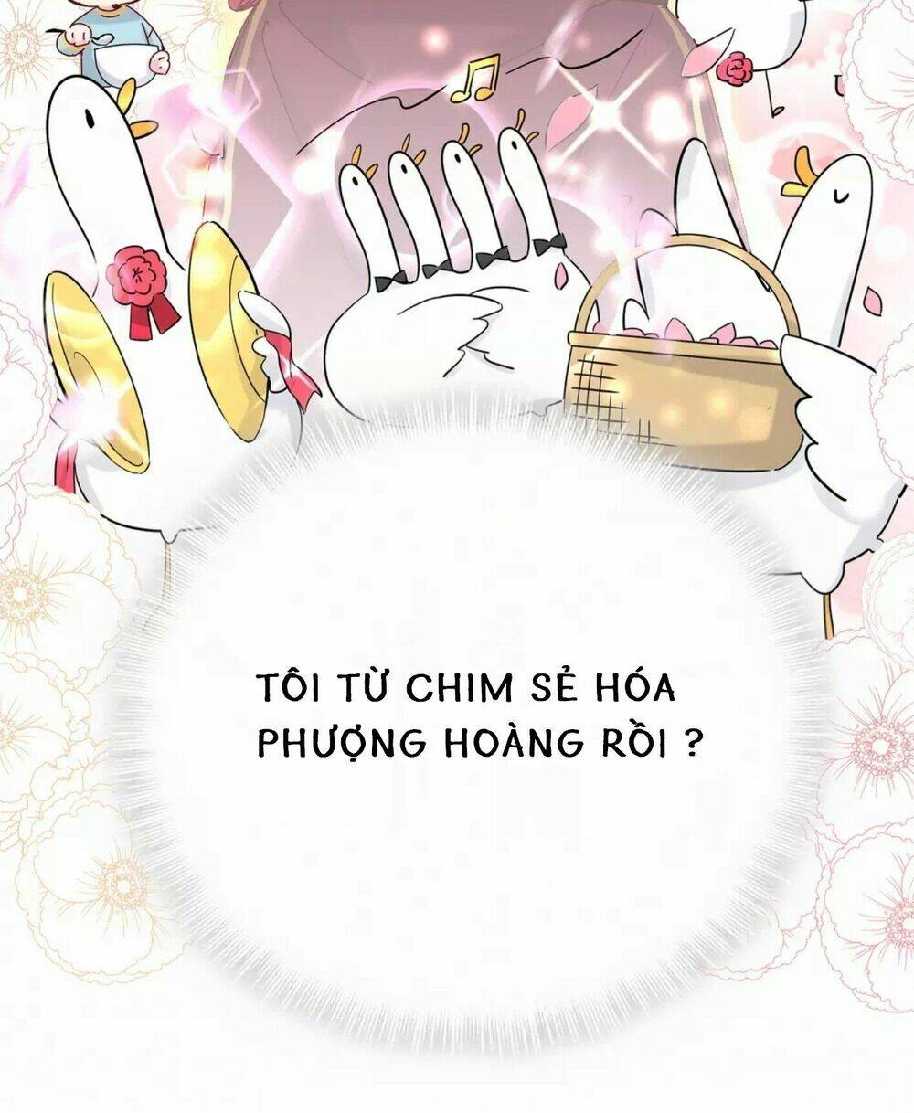 Chương 15.2 - Trang 24
