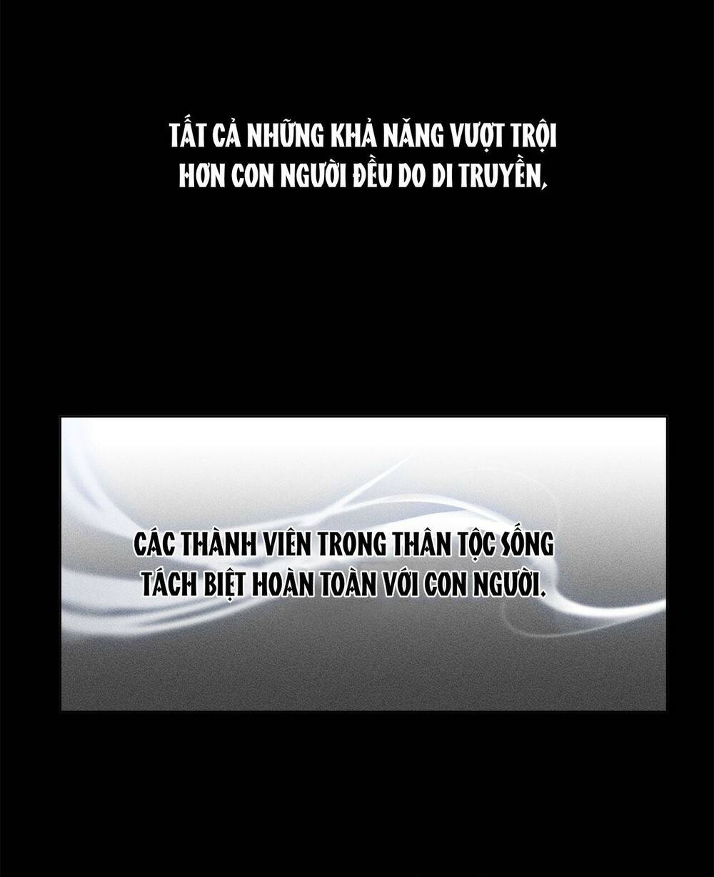 Chương 13 - Trang 4