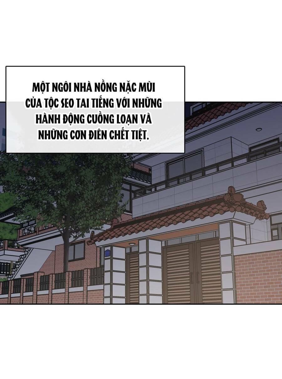 Chương 24 - Trang 52