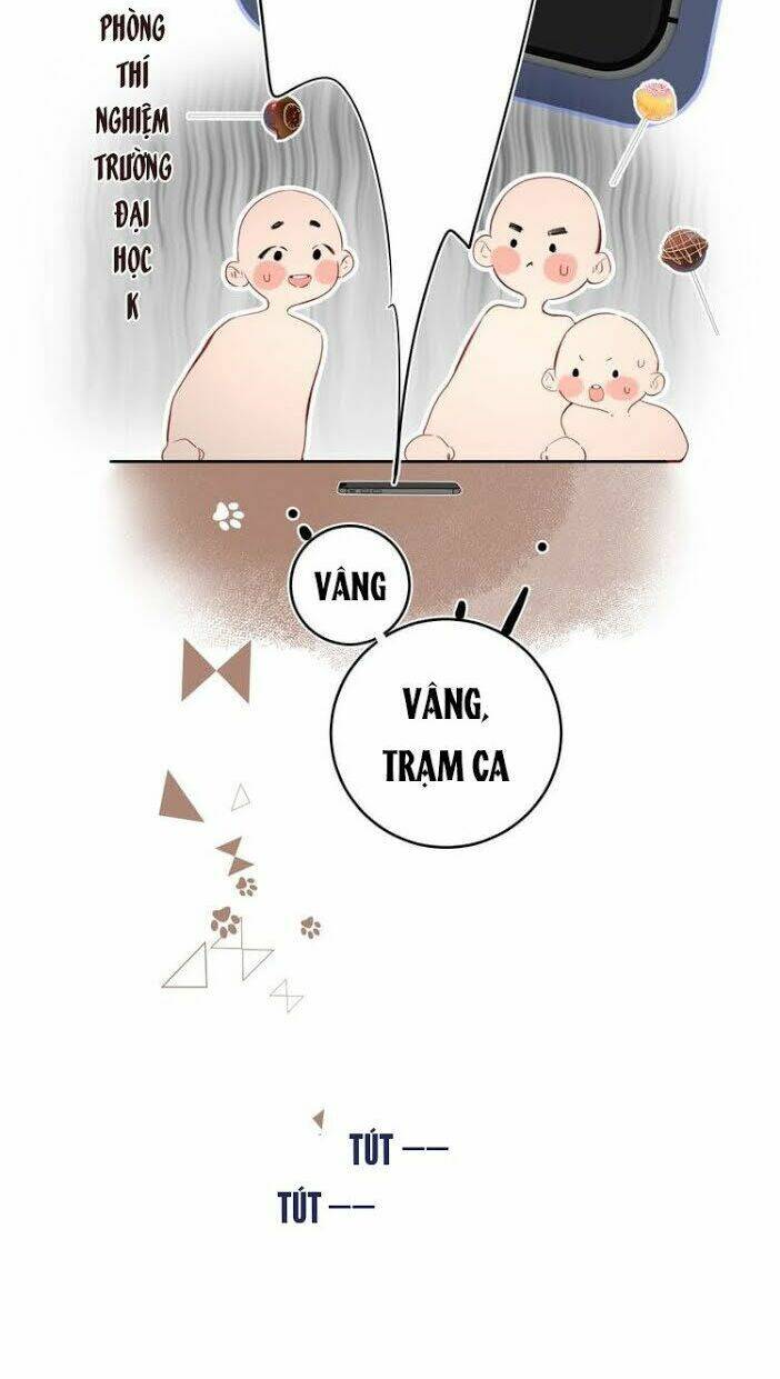 Chương 13 - Trang 21