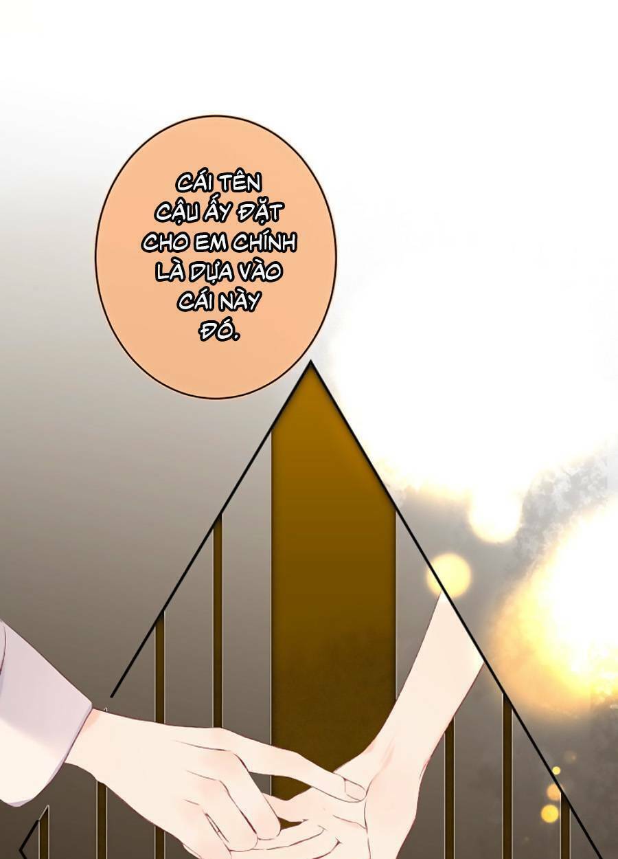 Chương 95 - Trang 11