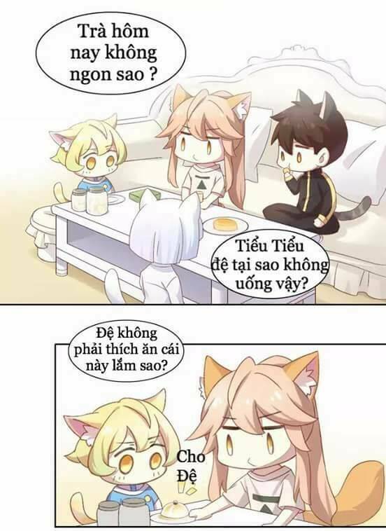 Trang 27