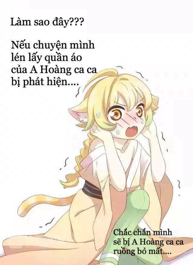 Chương 11 - Trang 16