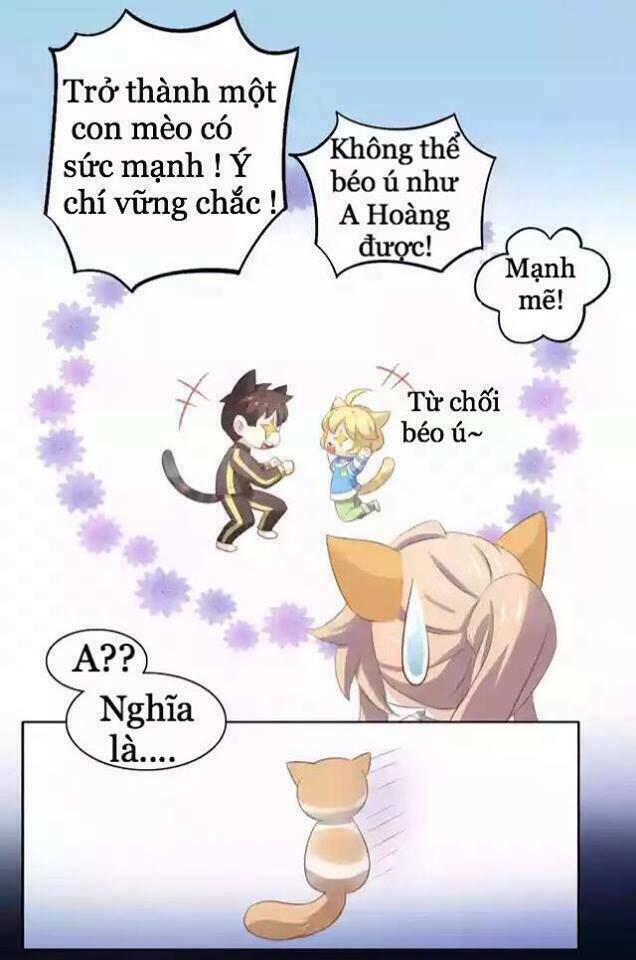 Chương 11 - Trang 46