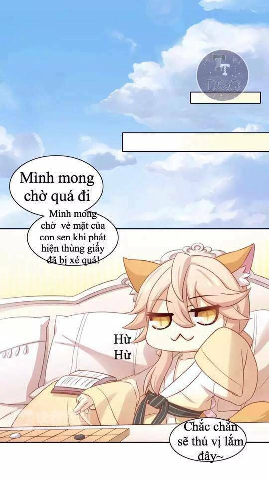 Trang 19