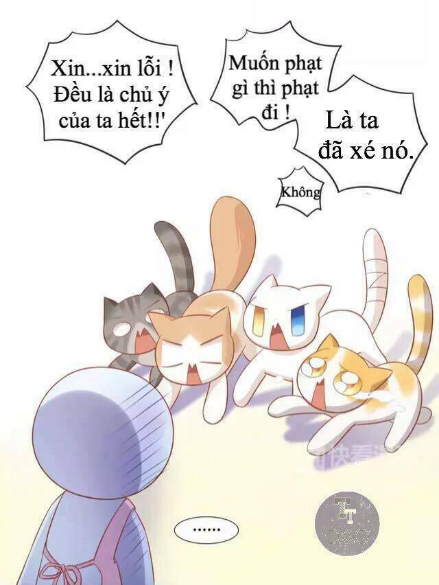 Trang 28