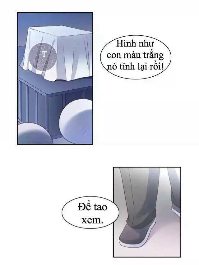 Trang 34