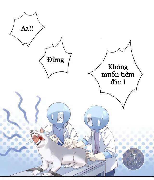 Chương 15 - Trang 48