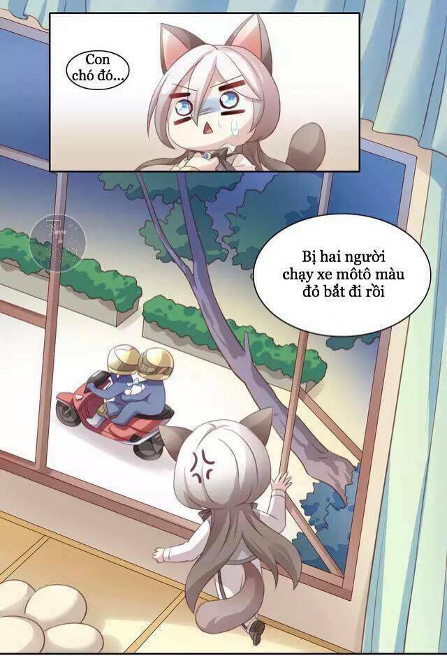 Chương 15 - Trang 8
