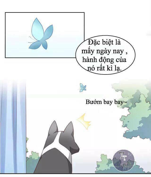 Chương 16 - Trang 6