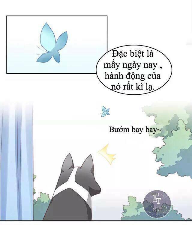 Chương 17 - Trang 6