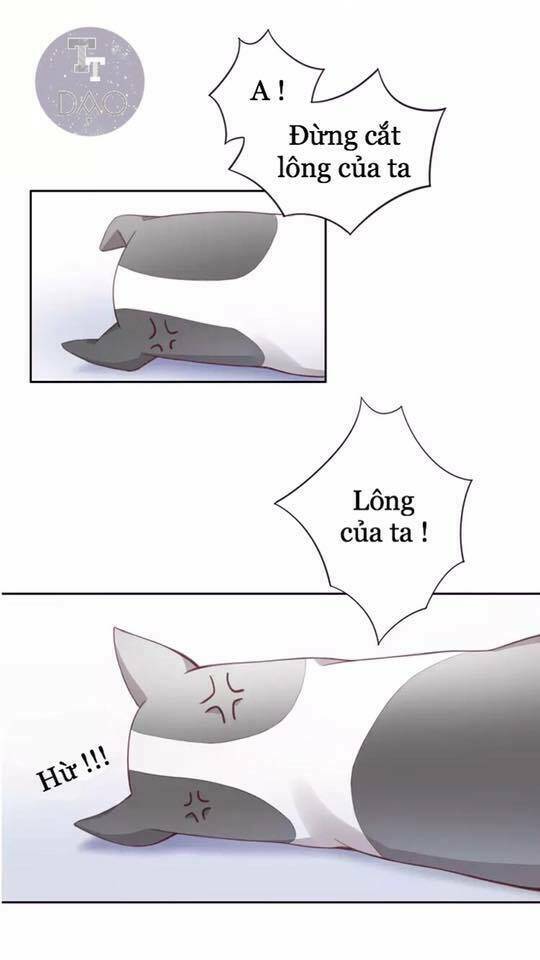 Chương 17 - Trang 63