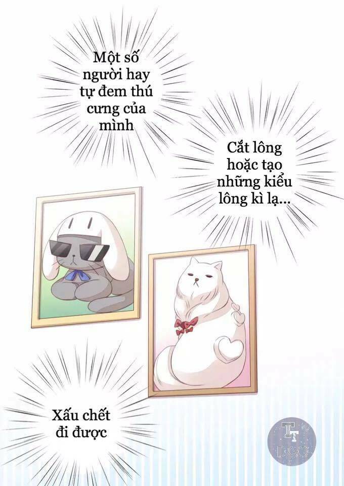 Chương 17 - Trang 65