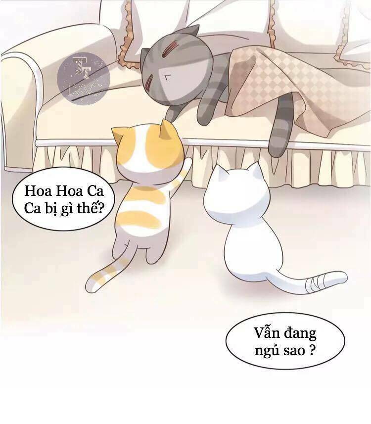 Chương 19 - Trang 17