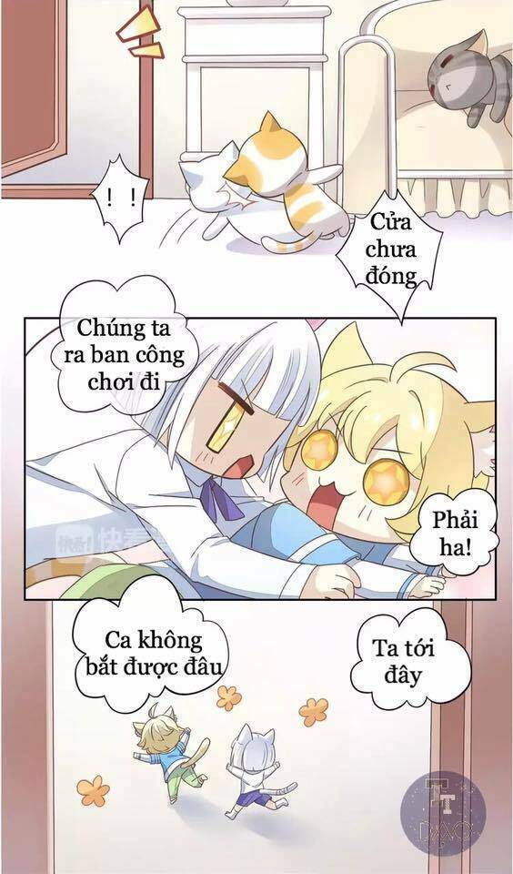 Chương 19 - Trang 19