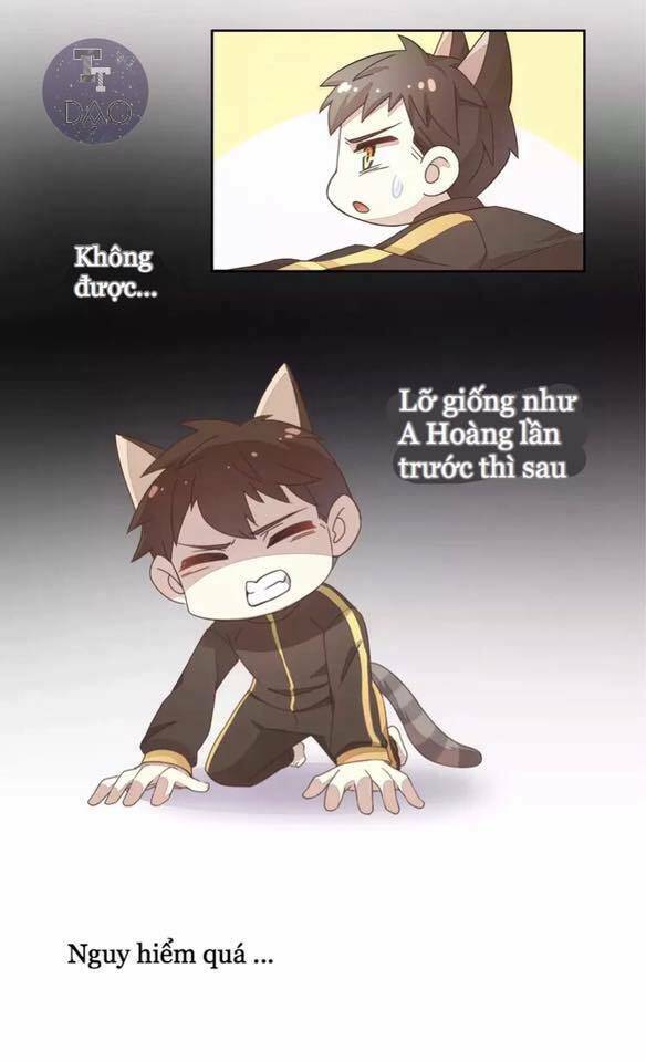 Chương 19 - Trang 21