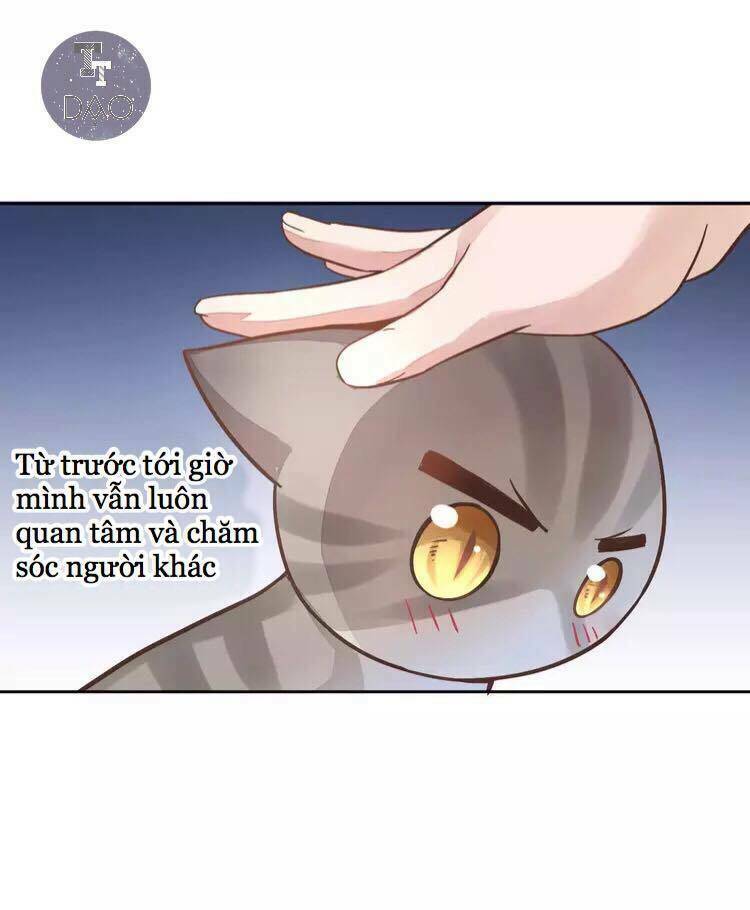 Chương 19 - Trang 41