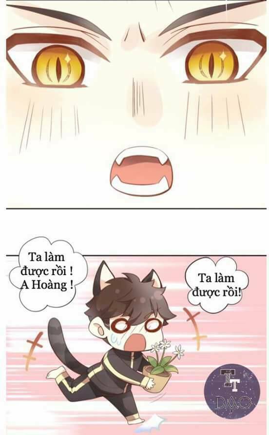 Chương 2 - Trang 36