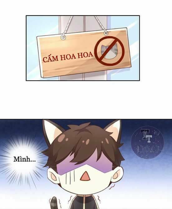 Chương 2 - Trang 42