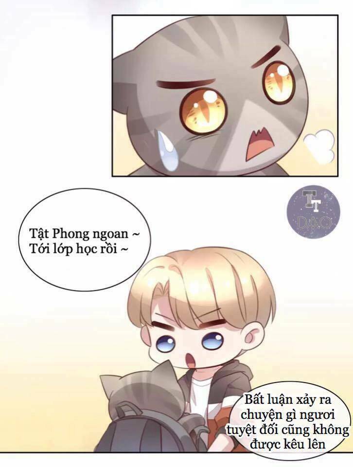Trang 21