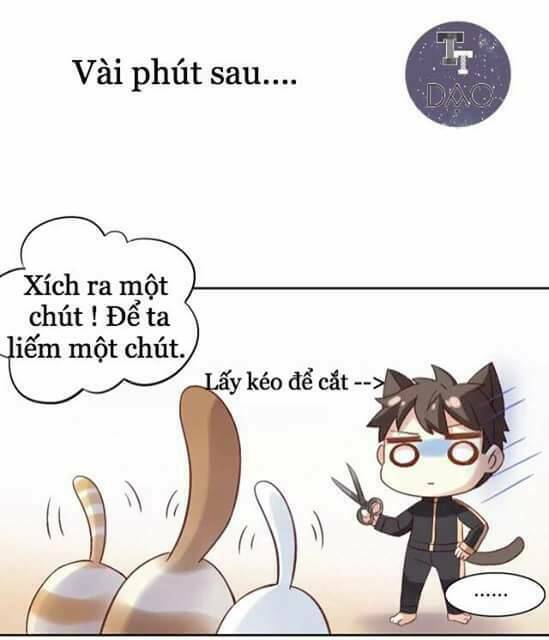 Chương 6 - Trang 19