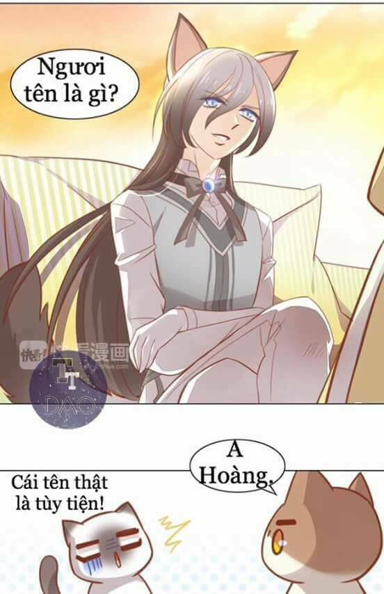 Chương 8 - Trang 24