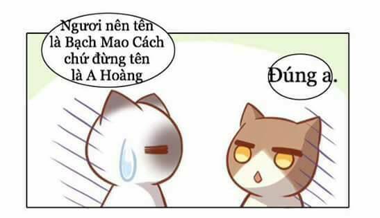 Chương 8 - Trang 25