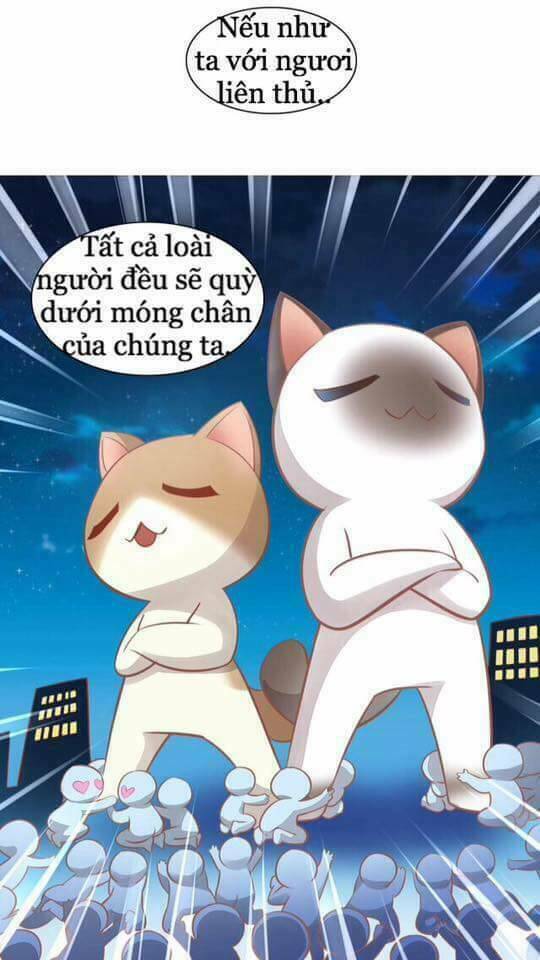 Chương 8 - Trang 37