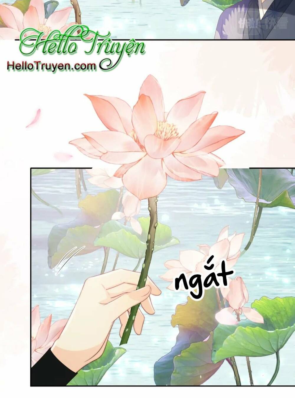 Chương 237 - Trang 12
